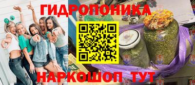 гашик Кунгур