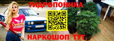 гидра Кумертау